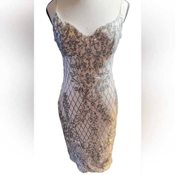 Privy Silver and White Midi Dress - Picture 2 of 16